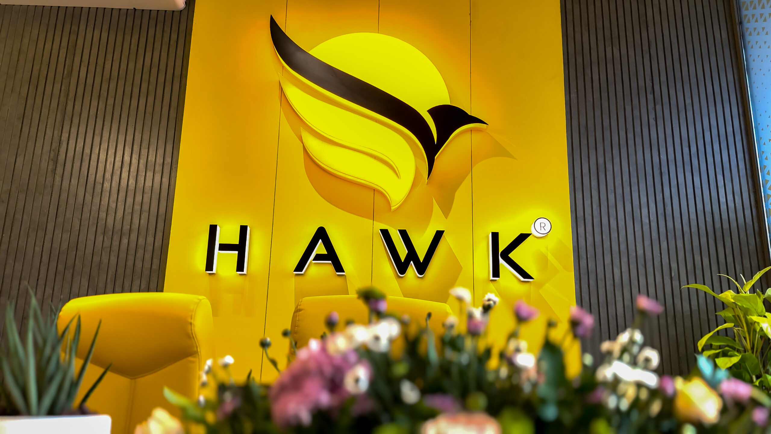 hawk (8)